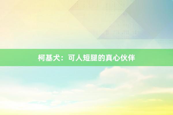 柯基犬：可人短腿的真心伙伴
